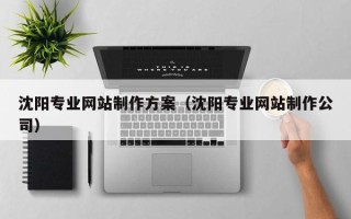 海东沈阳专业网站制作方案（沈阳专业网站制作公司）